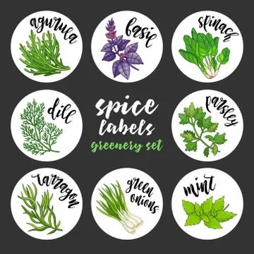 Spices herbs labels. Colored vector greenery set Stock Illustration