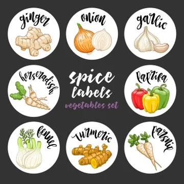 Spices herbs labels. Colored vector vegetables set Stock Illustration