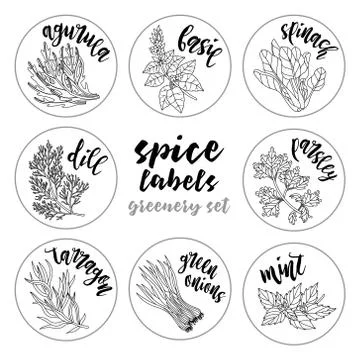 Spices herbs labels. Contour vector greenery set Stock-Illustration