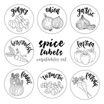 Spices herbs labels. Contour vector vegetables set Stock-Illustration