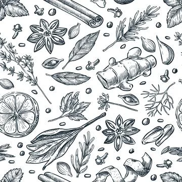 Spices herbs seamless pattern. Hand drawn sketch vector herbal background. .. Stock Illustration