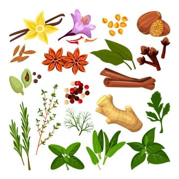 Spices, herbs set. Vector flat cartoon illustration, isolated on white backgr Stock Illustration
