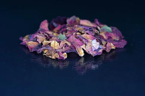 Spices for the kitchen Stock Photos