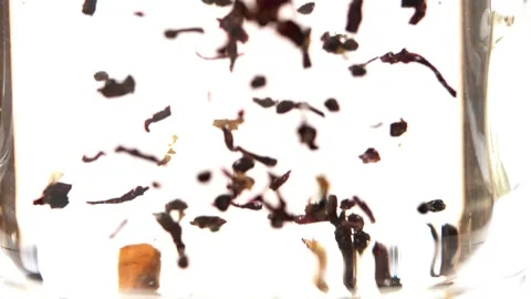 Spices in Liquid Stock Footage 318303934