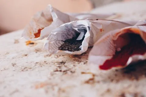 Spices in paper cones Stock Photos