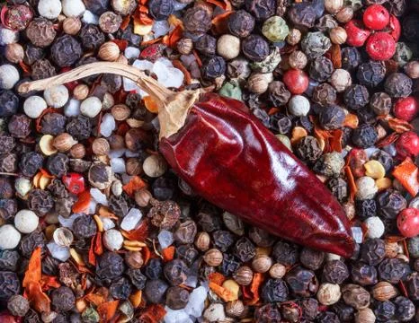 Spices pepper, thyme, close-up, background, red pepper, salt, chili, photo. Stock Photos