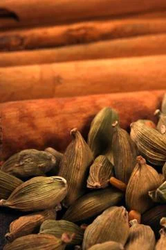 Spices Фото