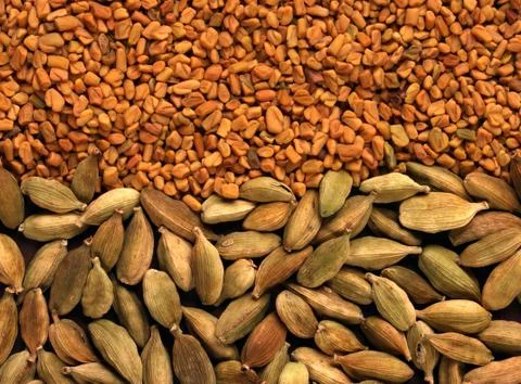 Spices Фото