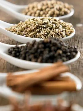 Spices 스톡 사진