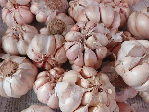 The spices Stock Photos