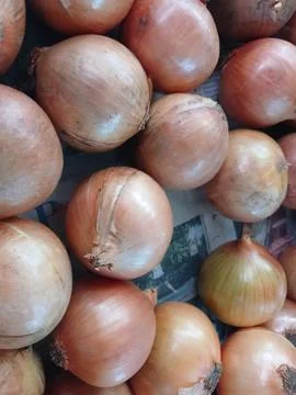 The spices Stock Photos