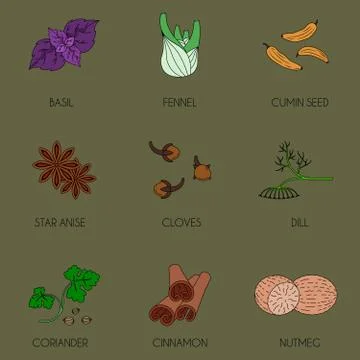 Spices set of colored icons Stock Illustration