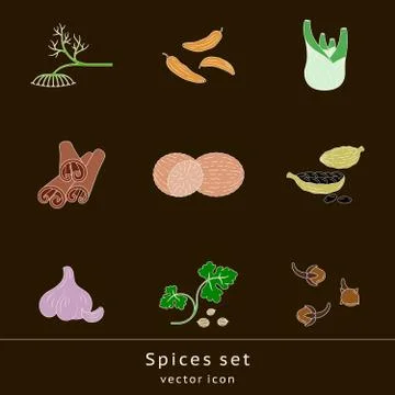 Spices set of colored icons Stock Illustration