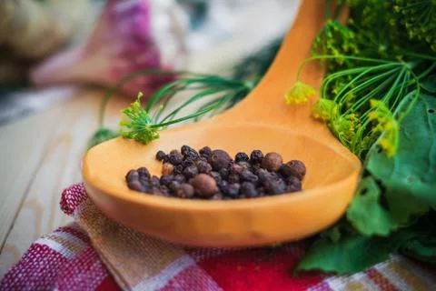Spices surrounded security components pickling cucumbers Stock Photos