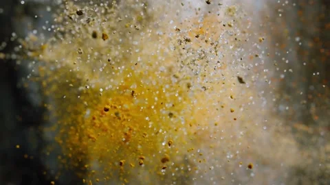 Spices tossed towards camera Stock Footage 219485602