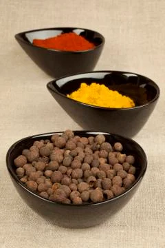 Spices variation. Stock Photos