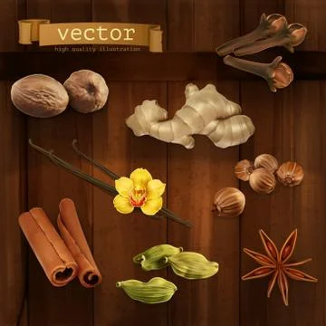 Spices, vector icons set Stock Illustration