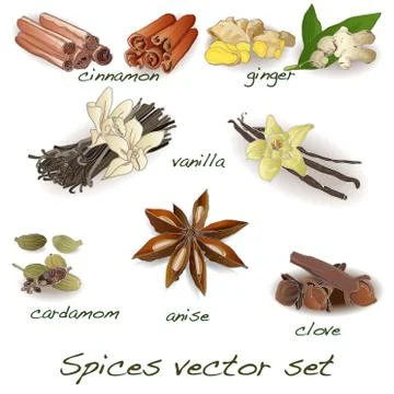 Spices vector set Stock Illustration