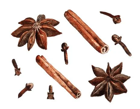 Spices watercolour on white background. Stock Illustration