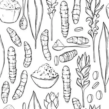 SpiceTurmeric. Vector illustration Stock Illustration