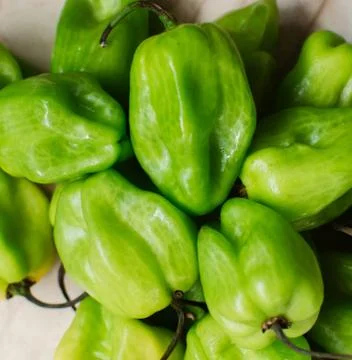 Spicy chile Stock Photos