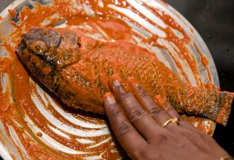 Spicy Fish Marinade Prep Stock Photos