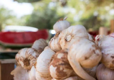 Spicy garlic 2 Stock Photos