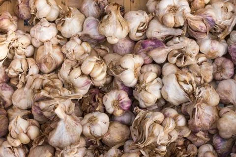 Spicy garlic Stock Photos
