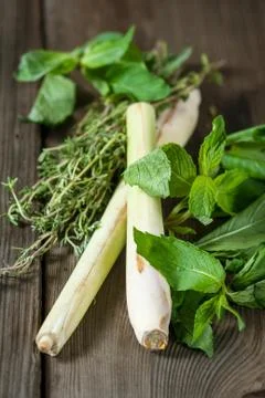 Spicy herbs Stock Photos