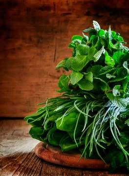 Spicy herbs, selective focus Stock Photos