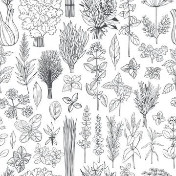 Spicy herbs.  Vector pattern Illustrazione stock