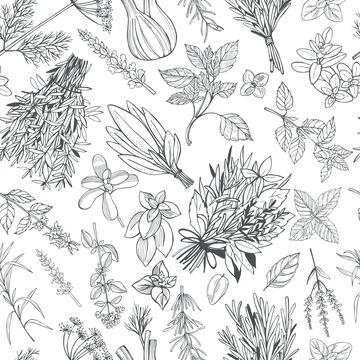 Spicy herbs.  Vector pattern Stock Illustration
