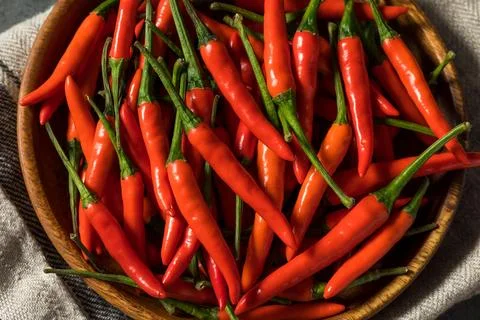 Spicy Organic Red Thai Birds Eye Chilli Peppers Stock Photos