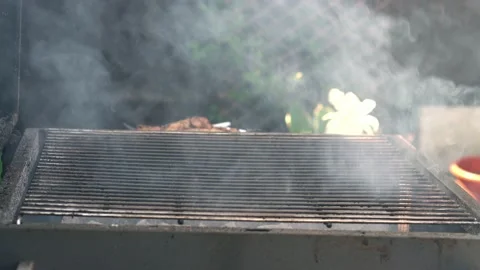 Spicy Pork Beef Bacon Being Grilled Over Bright Glowing Coals Broasting On Fire Stock Footage 196893183