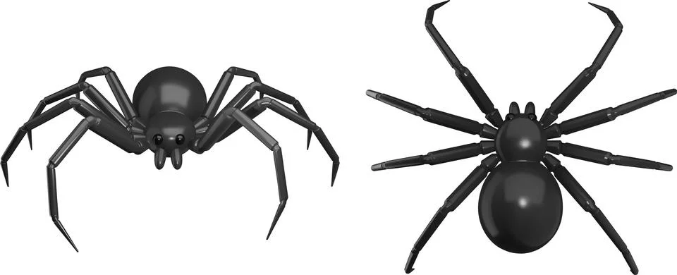 Spider 3d Stock Illustration