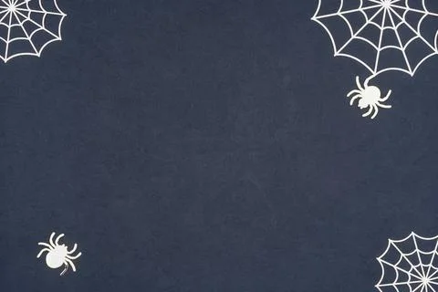Spider and cobweb background. Stock Photos