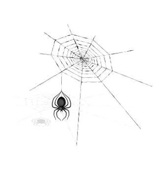Spider and cobweb Stock Illustration