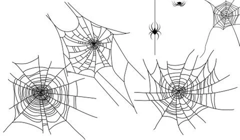 Spider and cobwebs elements Stock Illustration