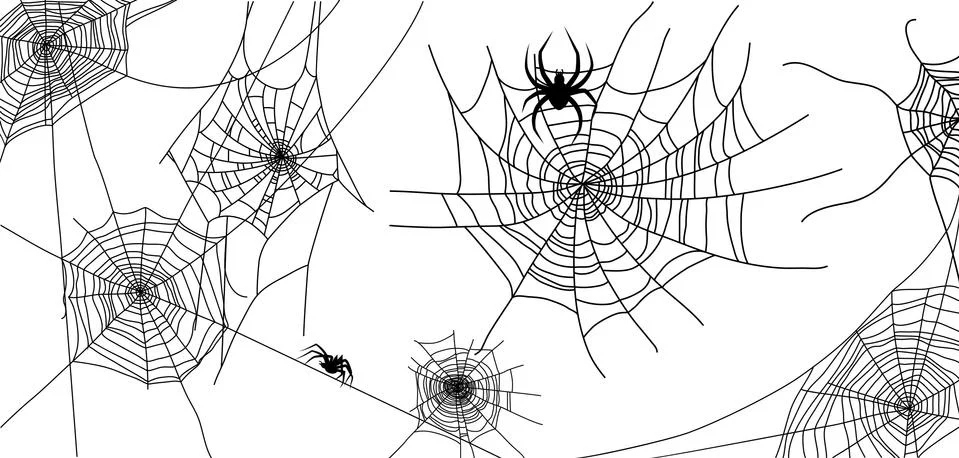 Spider and cobwebs elements Stock Illustration