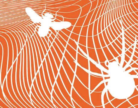Spider and fly Illustrazione stock