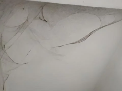 Spider and Spider Web on the Corner of the White Wall in the Old Building Stock Photos