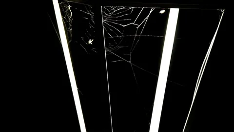 Spider and spider web Stock Footage 105499428