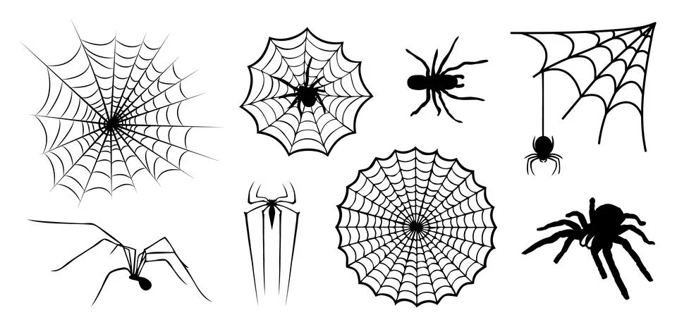 Spider and spidernet vector icon illustration Stock Illustration