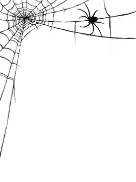 Spider and spiderweb Stock Illustration