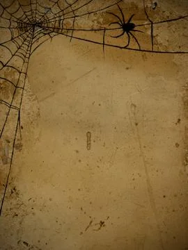 Spider and spiderweb 스톡 일러스트