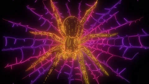 Spider and torn web. digital neon video Stock Footage 139804993