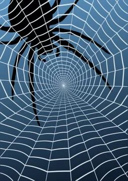 Spider and web Stock Illustration