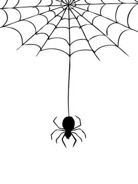 Spider and web Stock Illustration