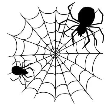 Spider and web 스톡 일러스트