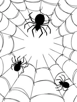 Spider and web イラスト素材